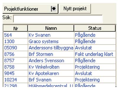 projekthantering1